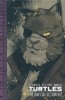 TEENAGE MUTANT NINJA TURTLES THE IDW COLLECTION VOL 12 HC [9781684057450]